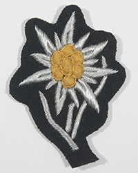 Officer Mountain Troop Cap Insignia