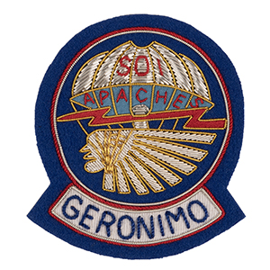 501st PIR (Bullion) Pocket Patch